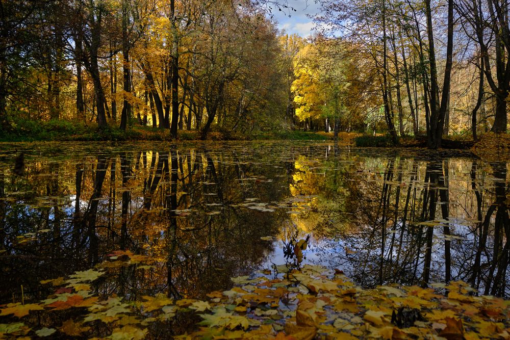 Photograph by Василий Арлашов