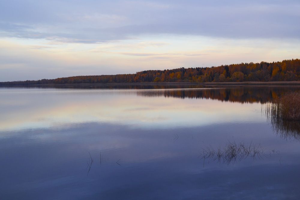 Фотография автора Елена Опалева