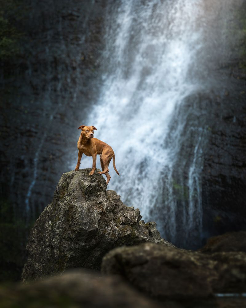 Photograph by Alessia Monaco