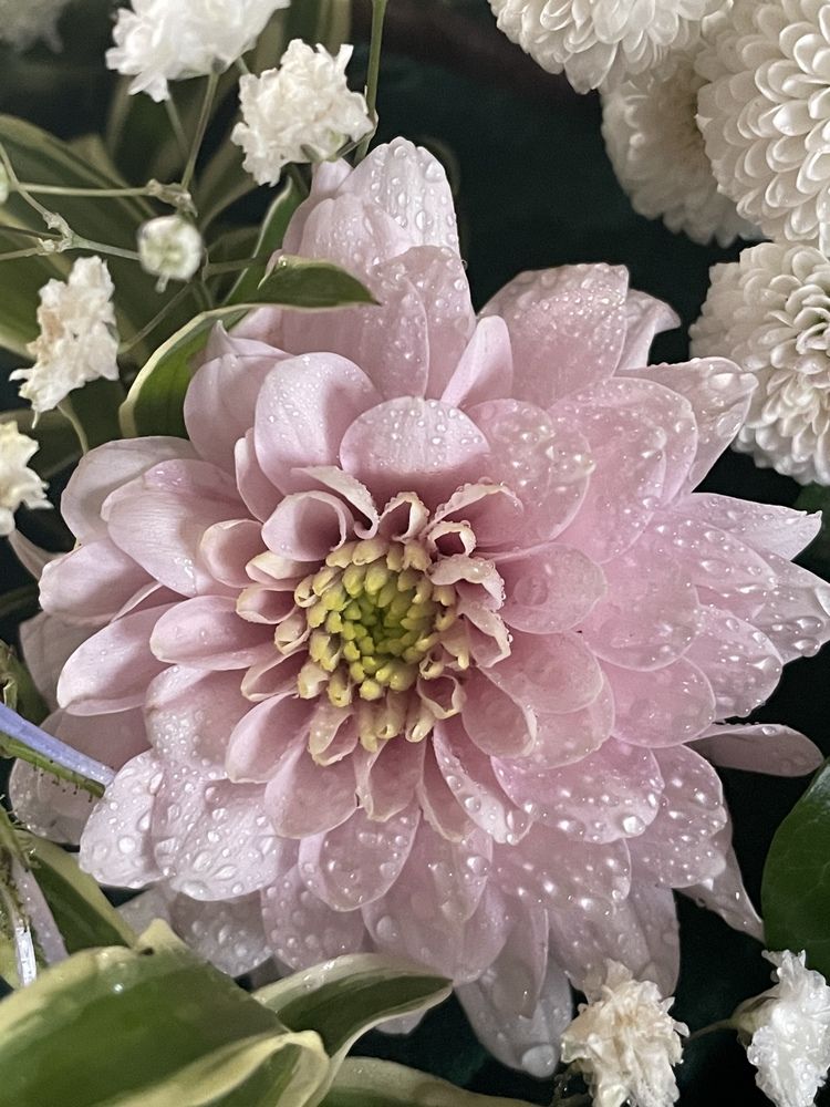 Photograph by Токарева Татьяна
