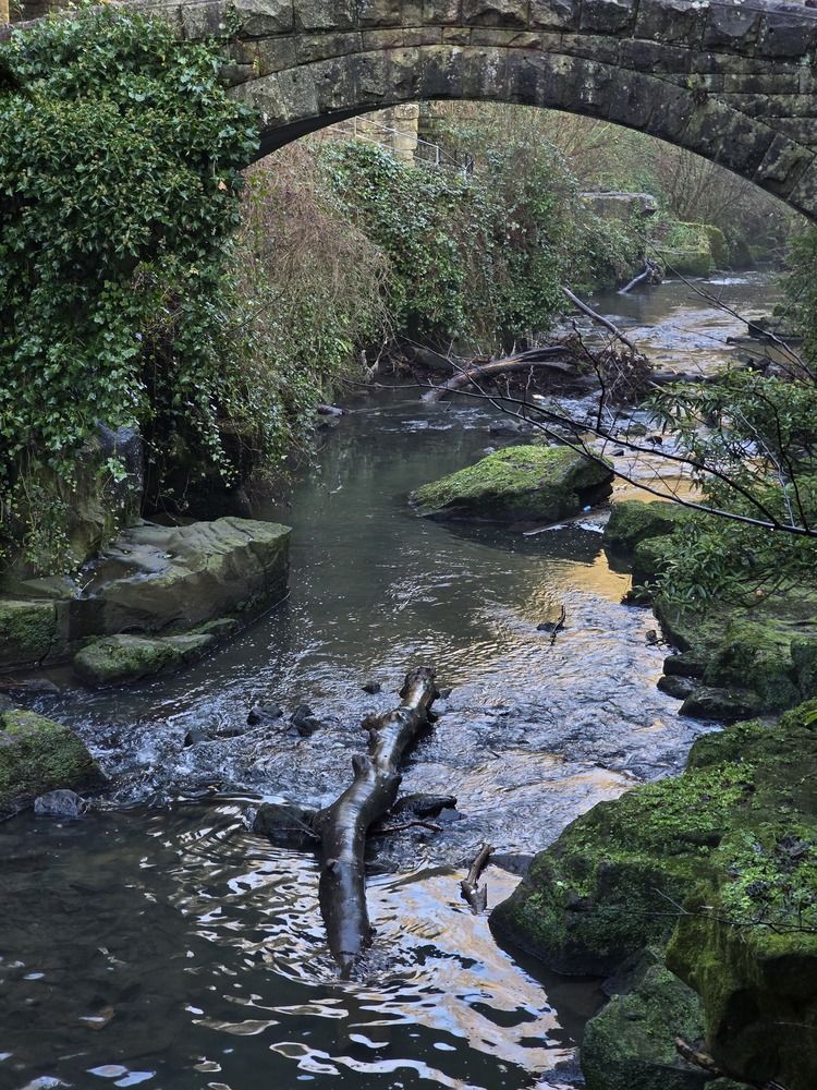 Photograph by Ekaterina Kazarez