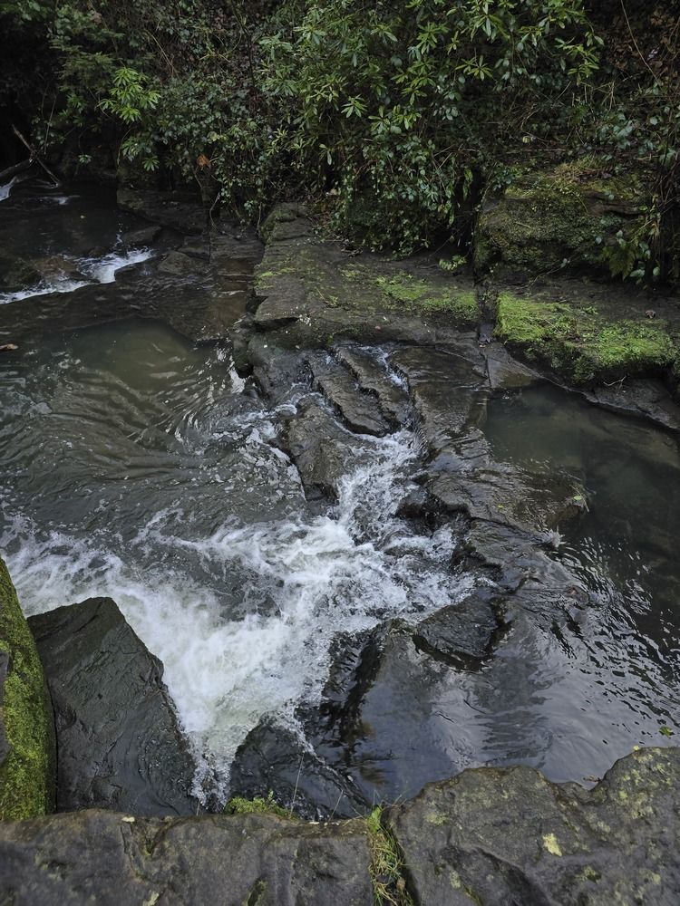 Photograph by Ekaterina Kazarez