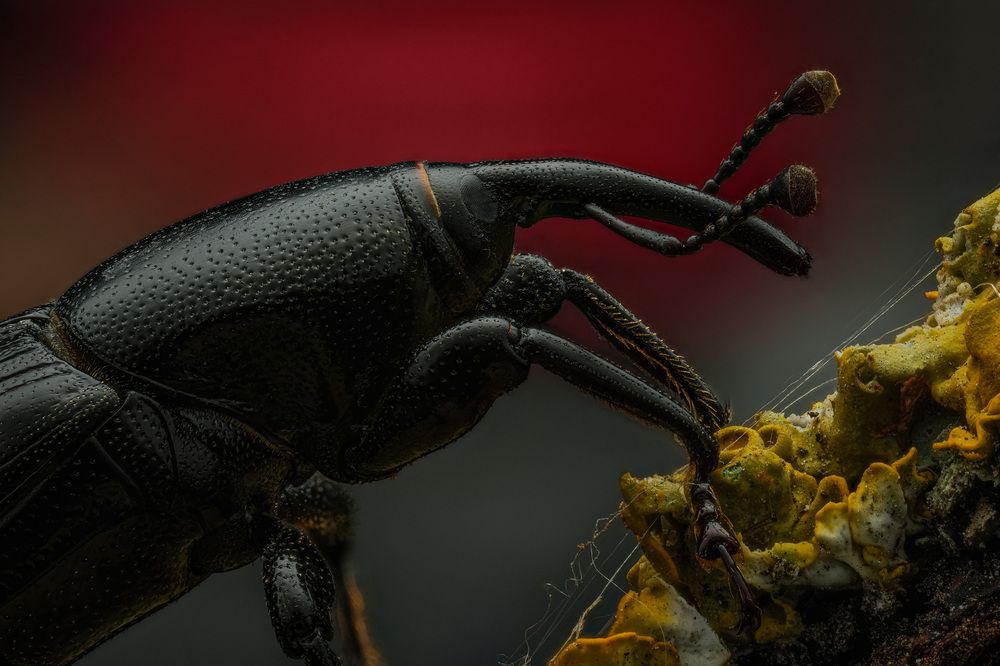 Photograph by Юрий Юрьевич Подгрушный