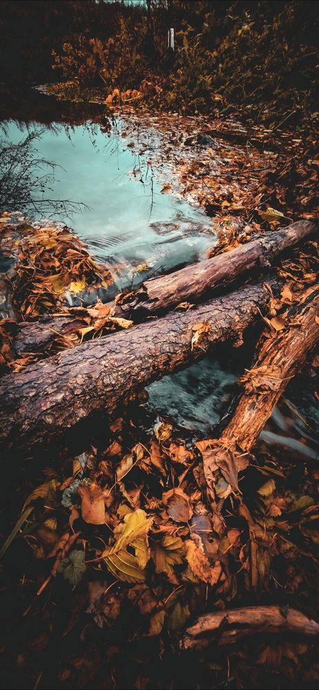 Фотография автора Жанна