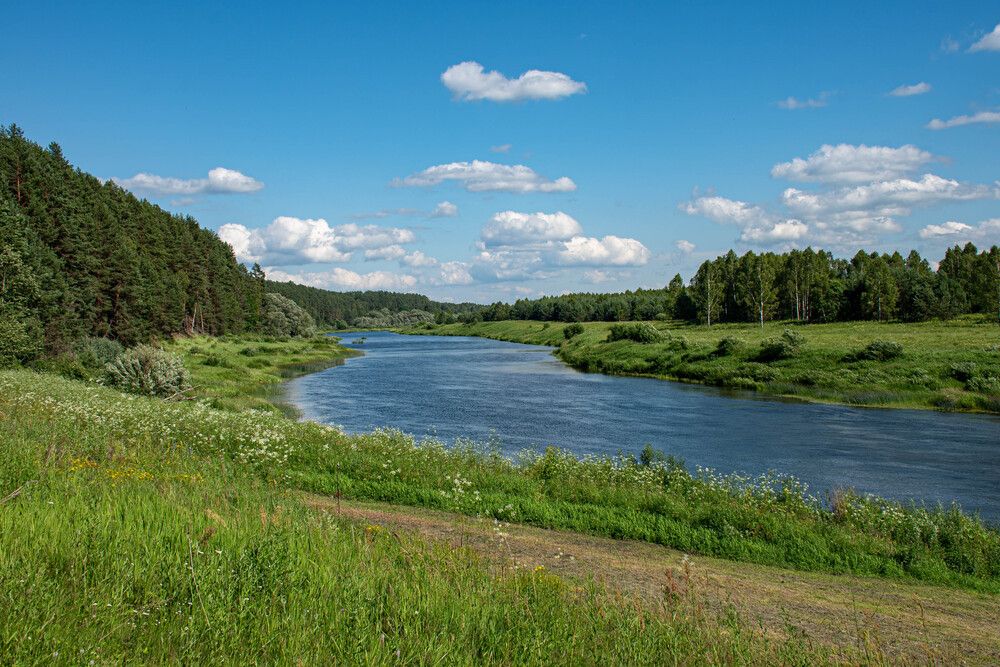 Photograph by Елена Царёва