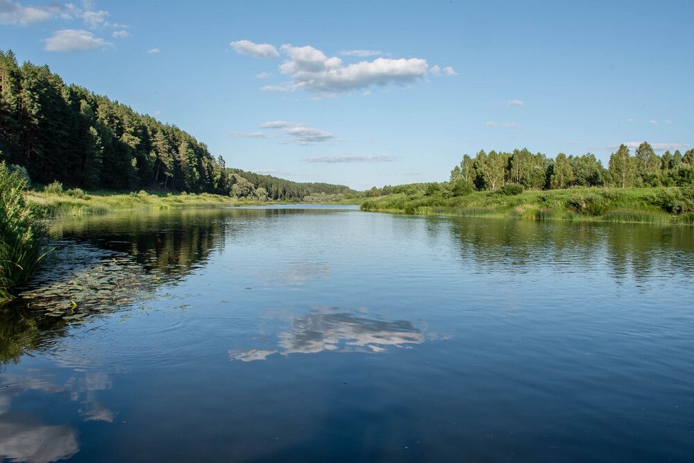 Photograph by Елена Царёва