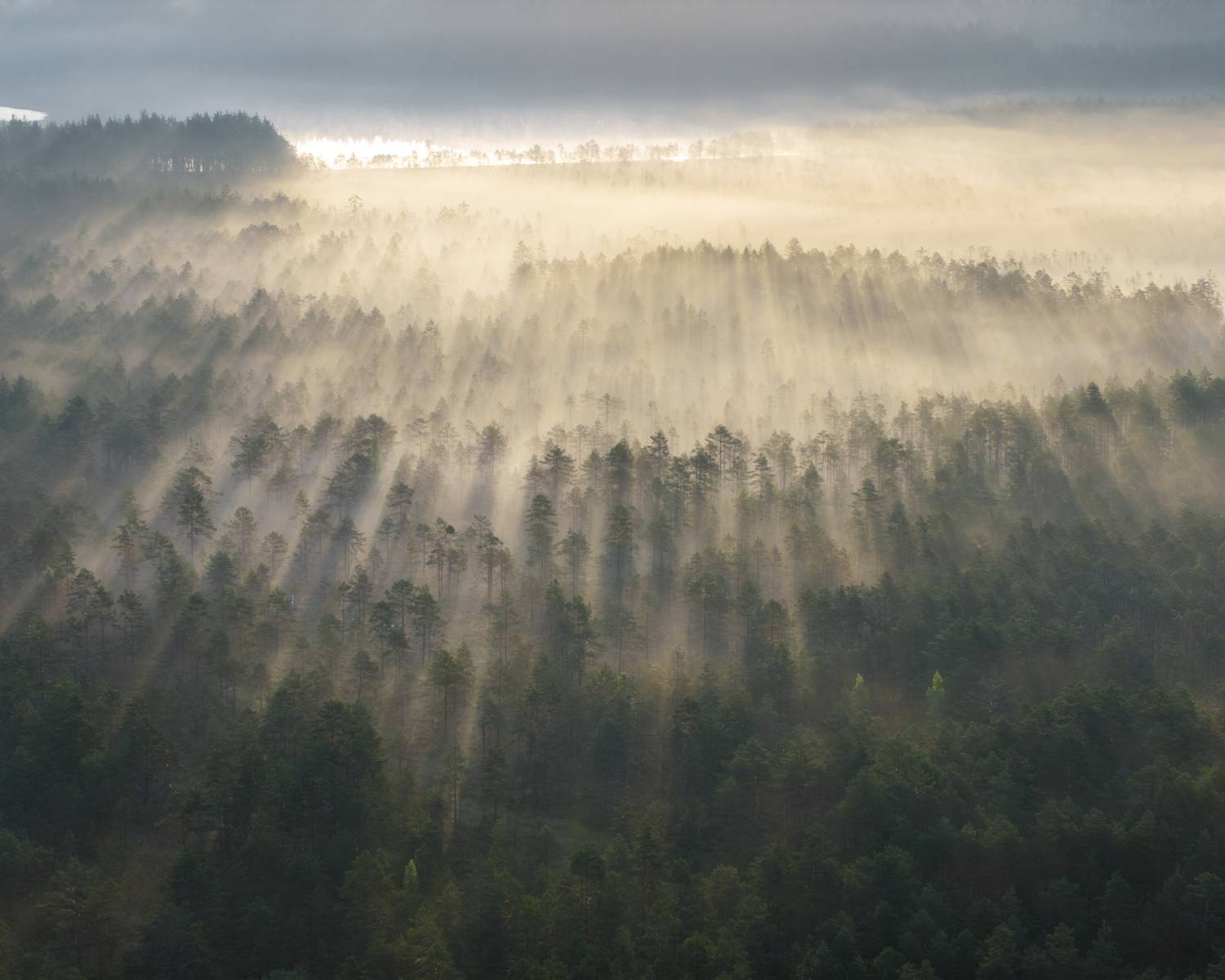 Фотография #13343698