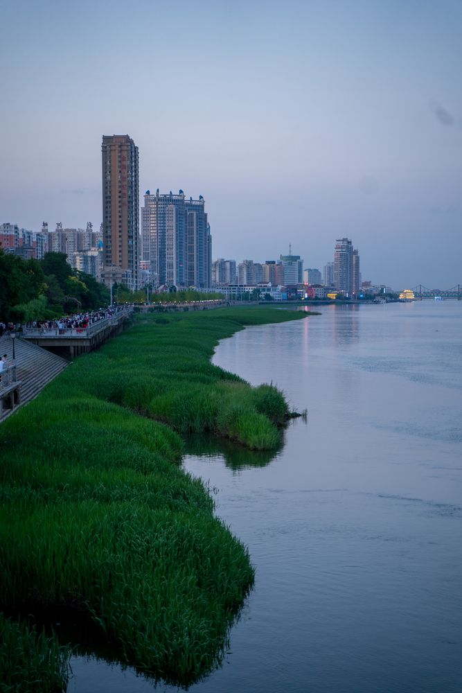 Фотография автора Василиса Новикова