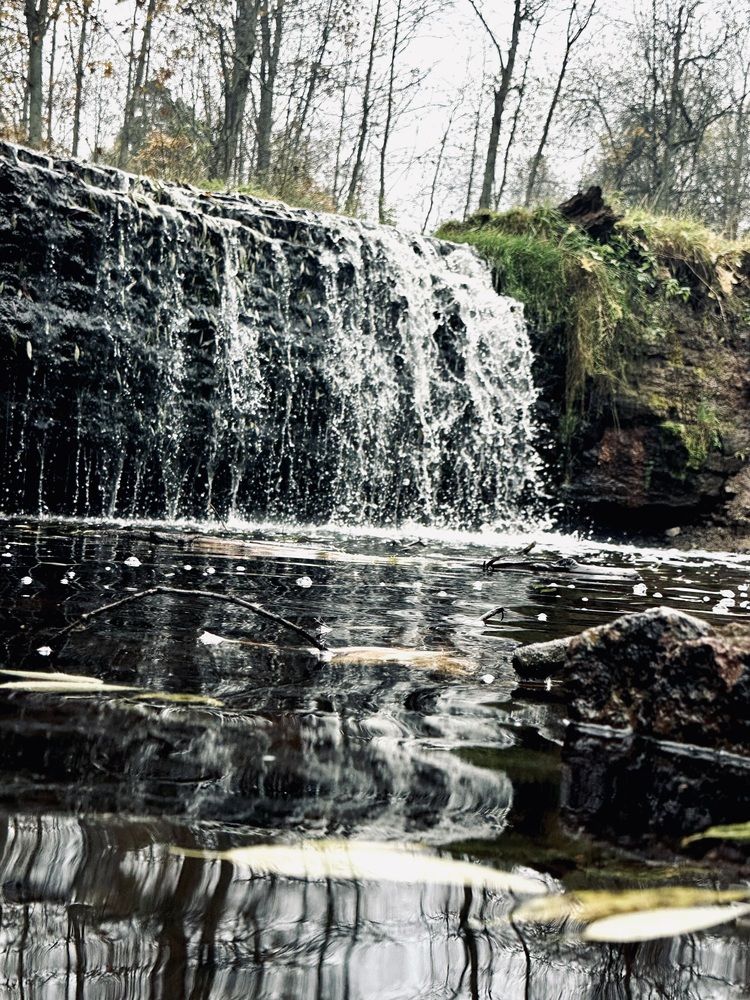 Photograph by наталья ионова