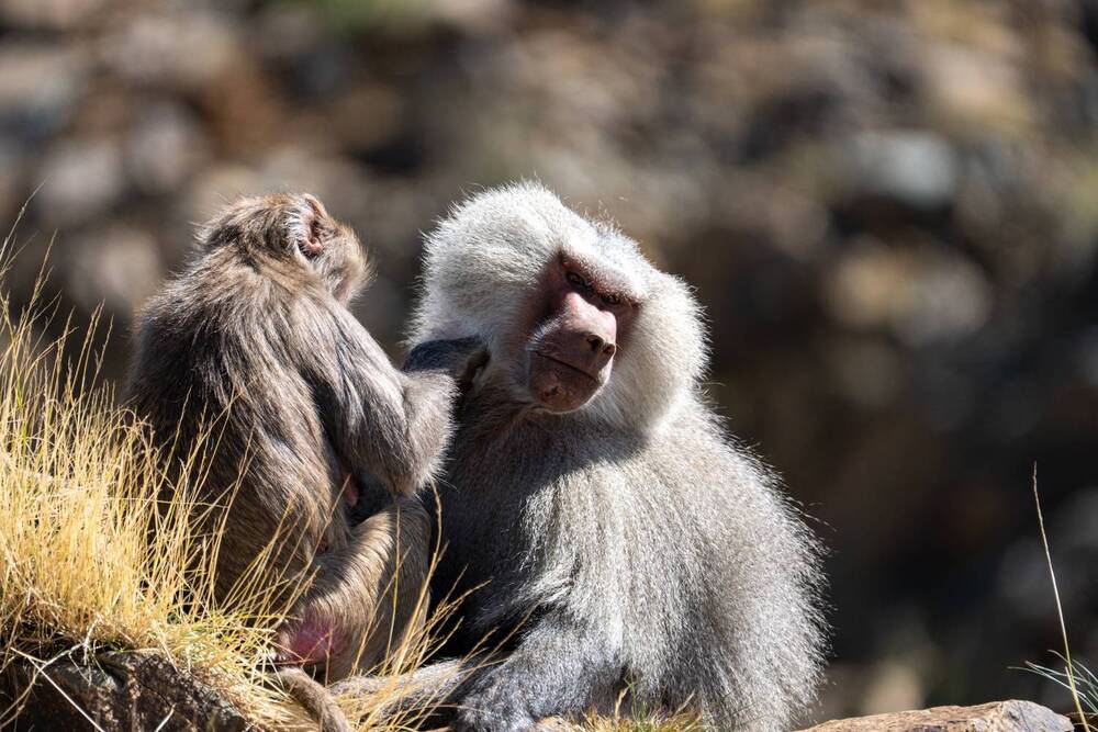 Photograph by Saravanan Sampath