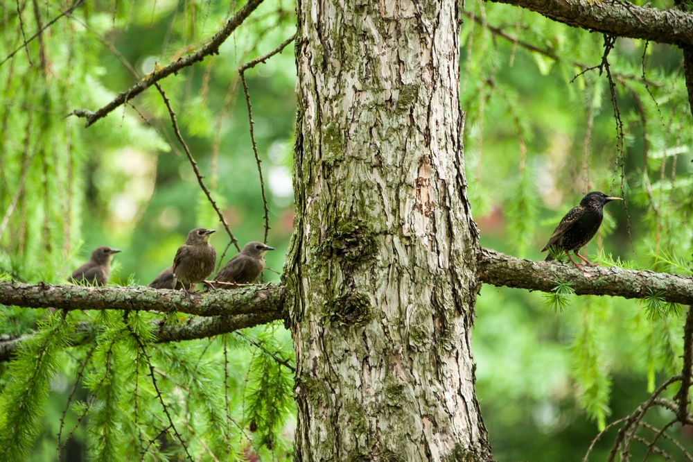 Учитель и ученики на уроке жизни
