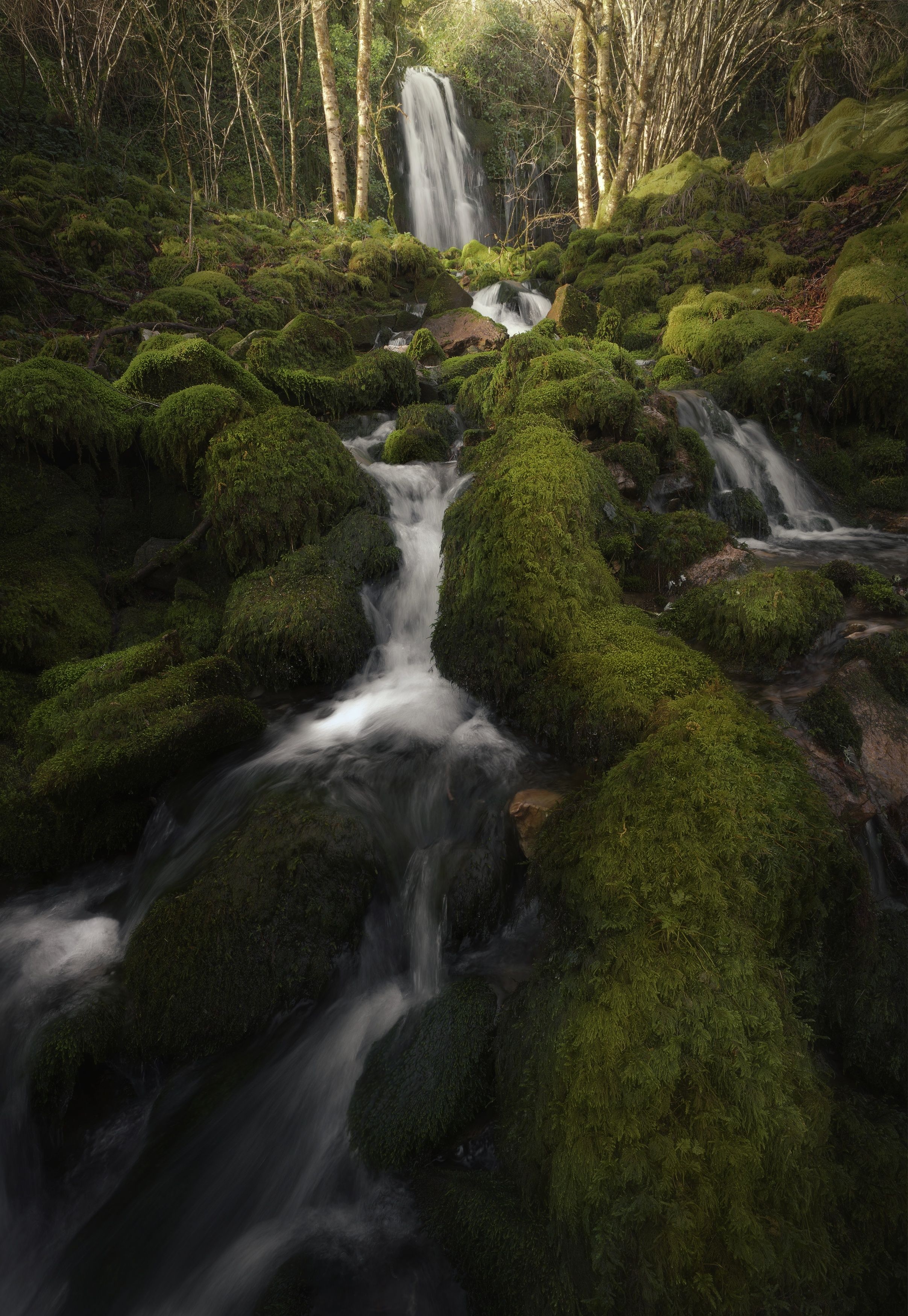 Photograph by Miguel Iglesias