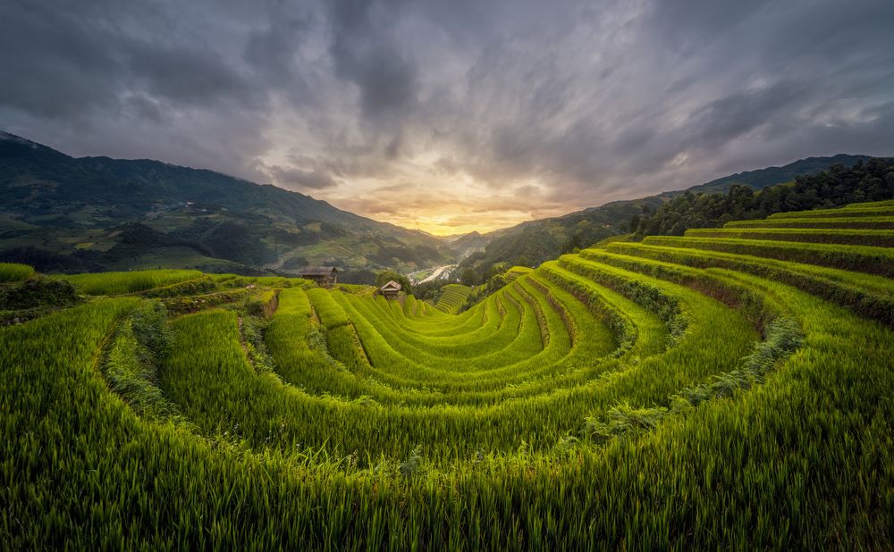 Photograph by Daniel Viñé Garcia