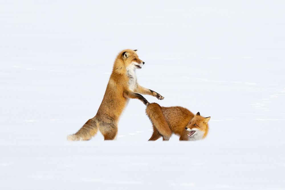 Photograph by Valeria Maleva