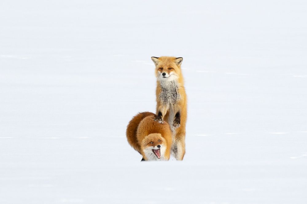 Photograph by Valeria Maleva