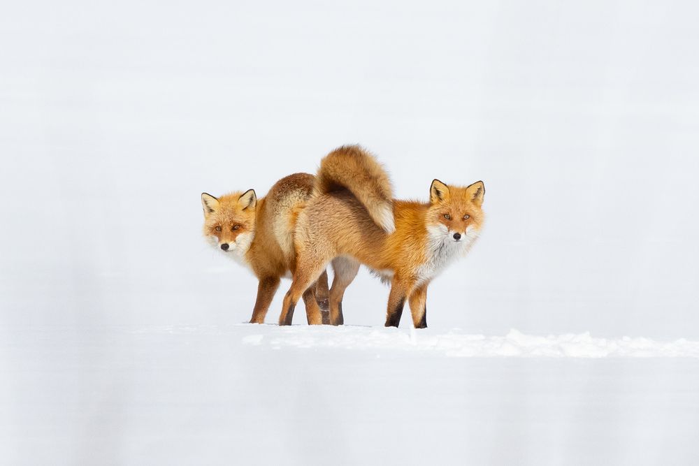 Photograph by Valeria Maleva