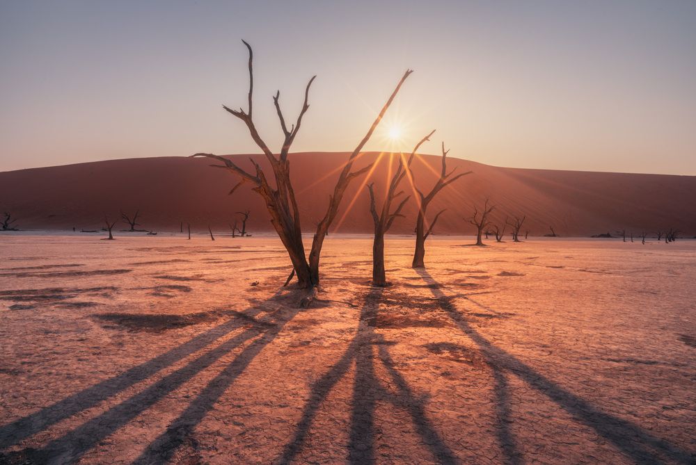 Photograph by Daniel Viñé Garcia