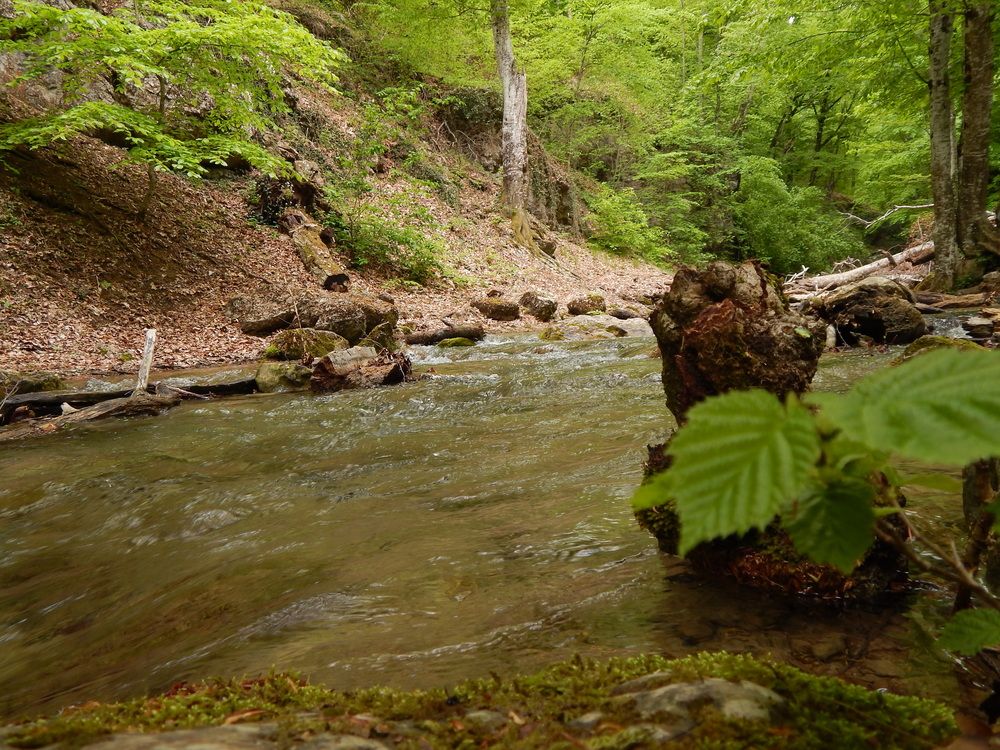 Photograph by Tanivsv