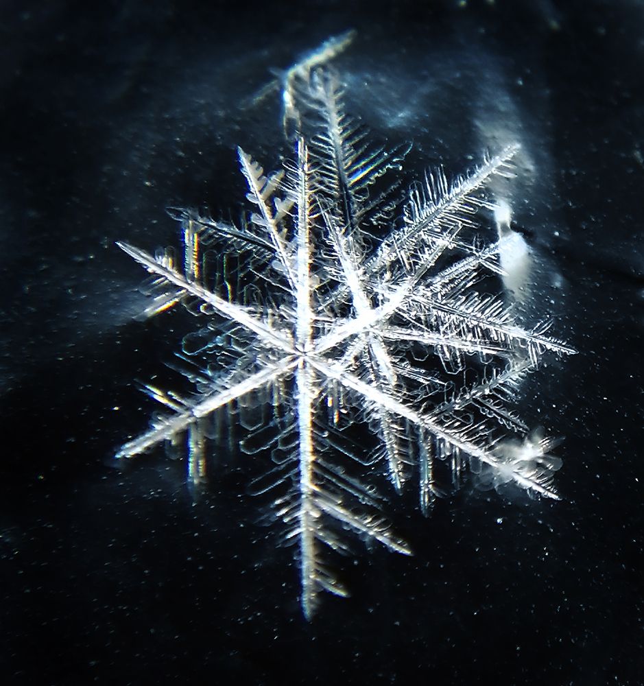 Photo #13344261