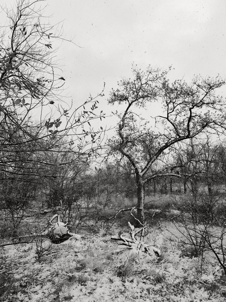 Photograph by Ульяна Кузьмина