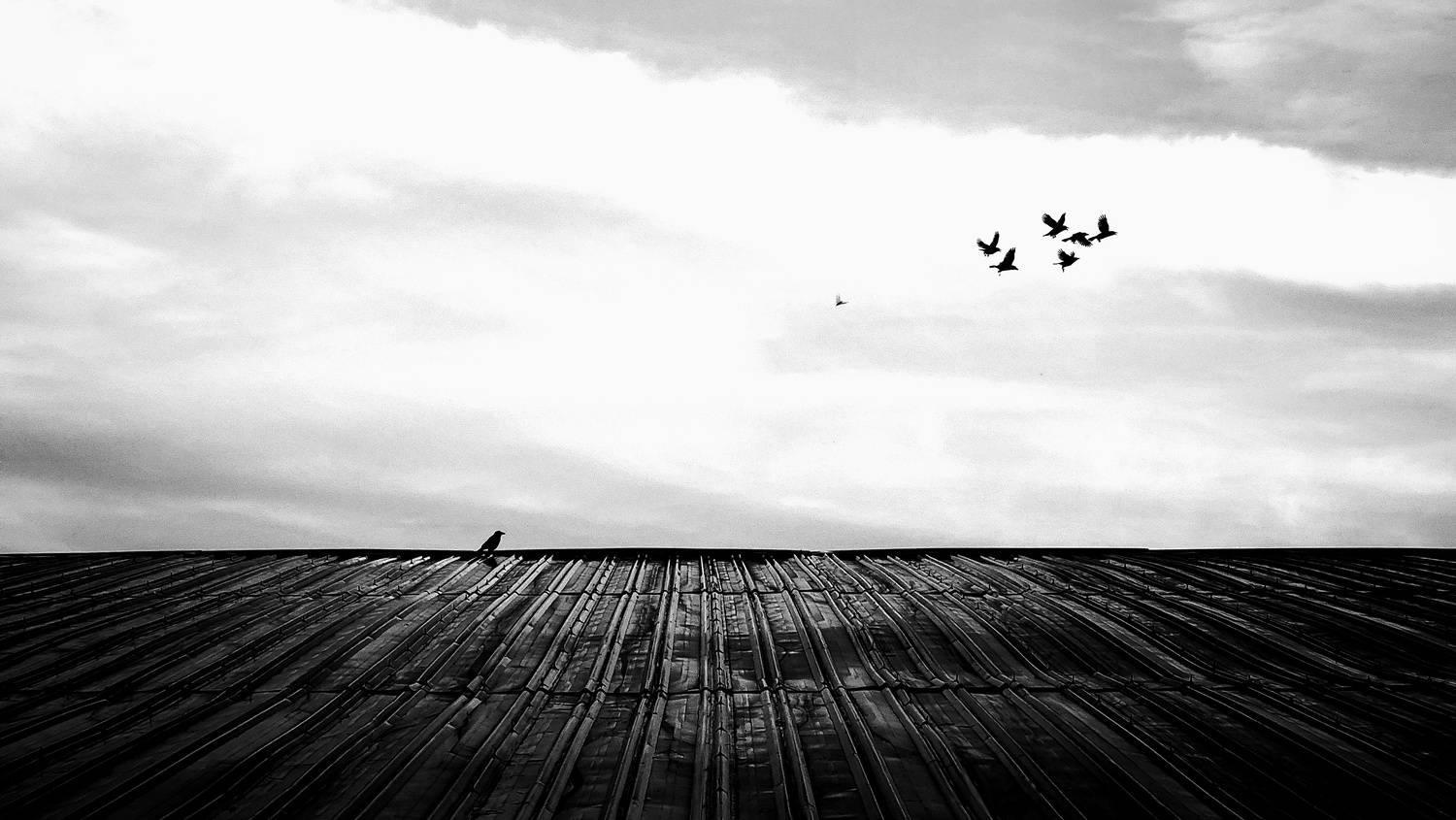 Being free