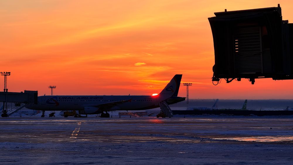 Photograph by Елизавета Синицына
