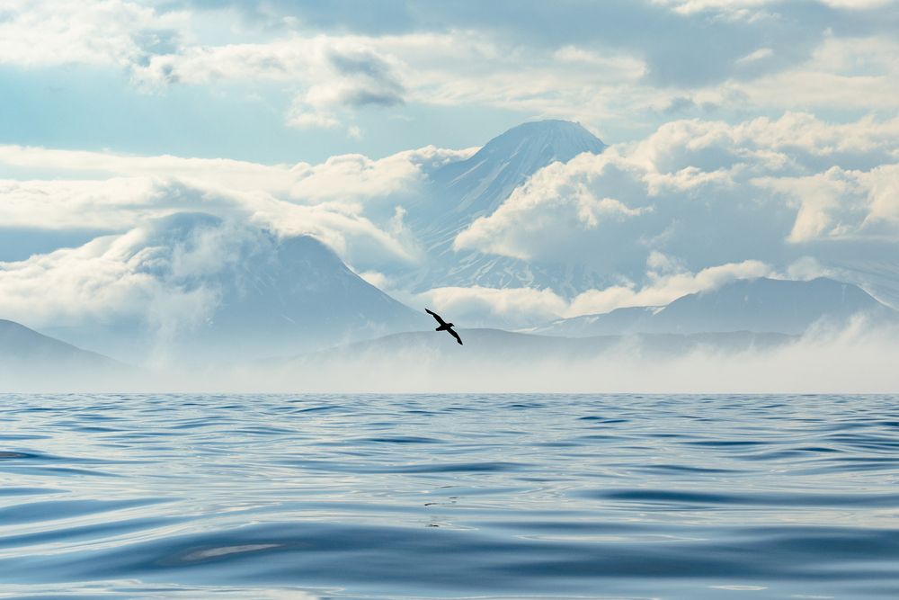 Photograph by Андрей Гусаров