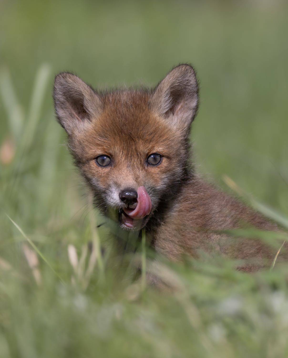 Вкус жизни.