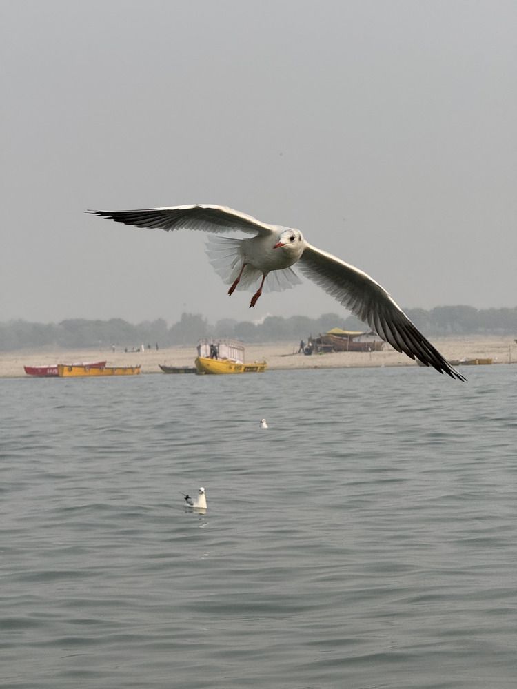 Photograph by Saneet Kumar Goud Konduri