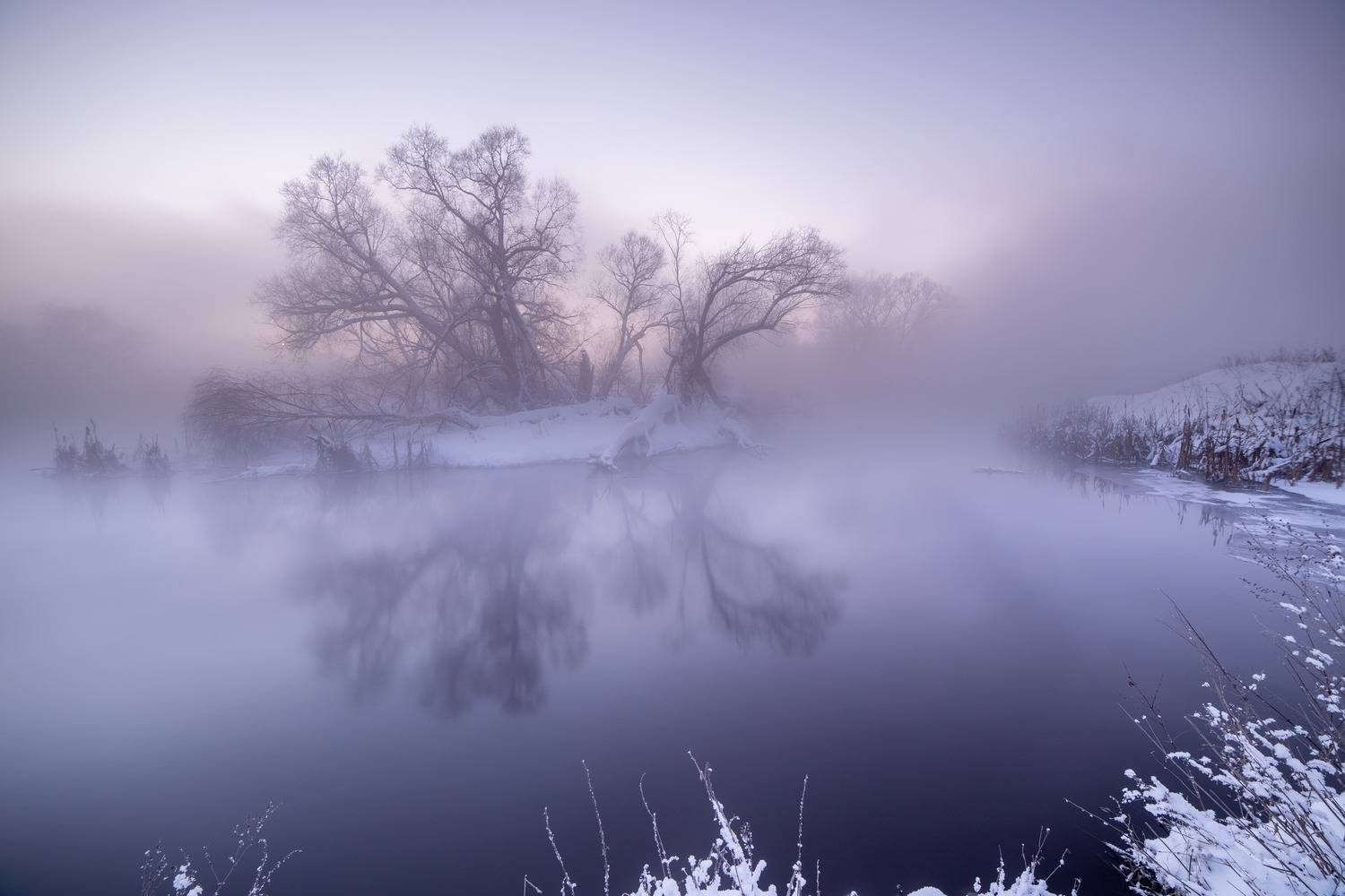 Розовый туман