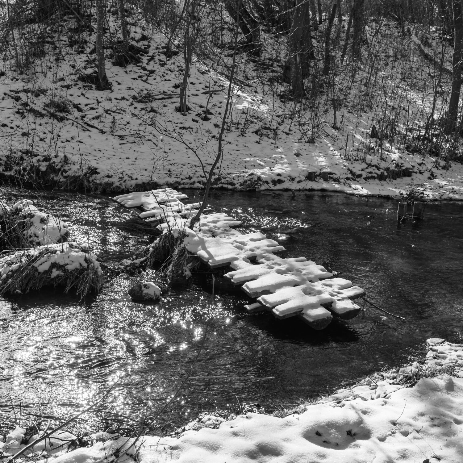 Photo #13344556