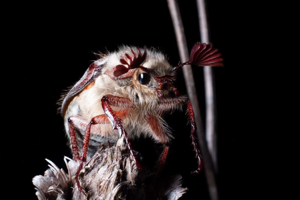 Photograph by Дмитрий Роговский