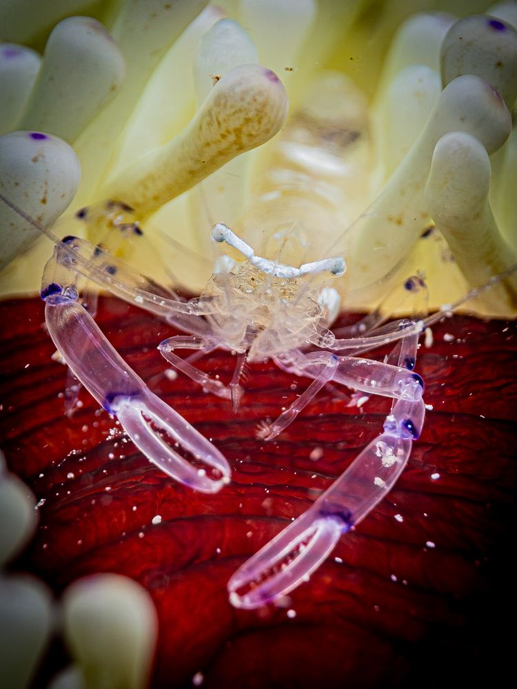 Photograph by Plakida Alexander