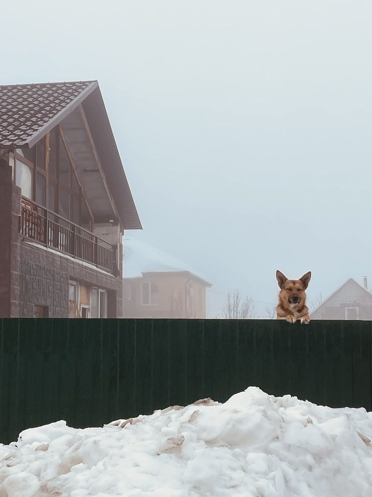 Photograph by Юлия Иванова