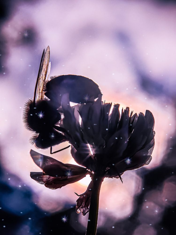Photograph by Елена Макеева