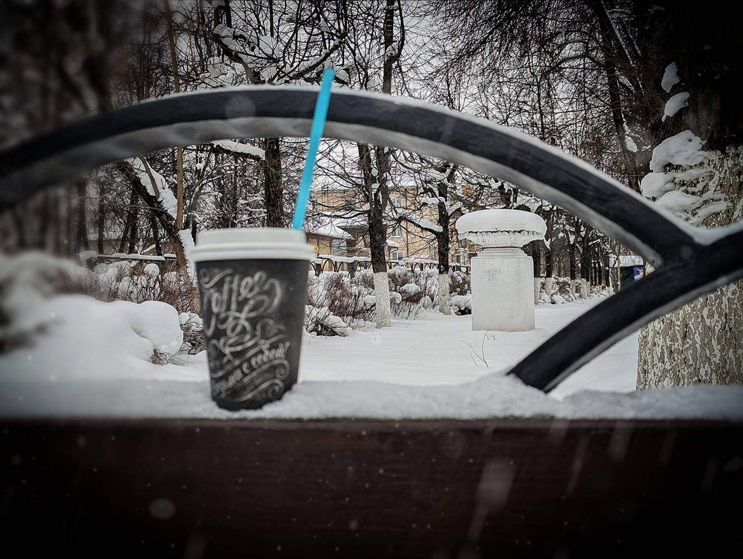 Фотография #13344676