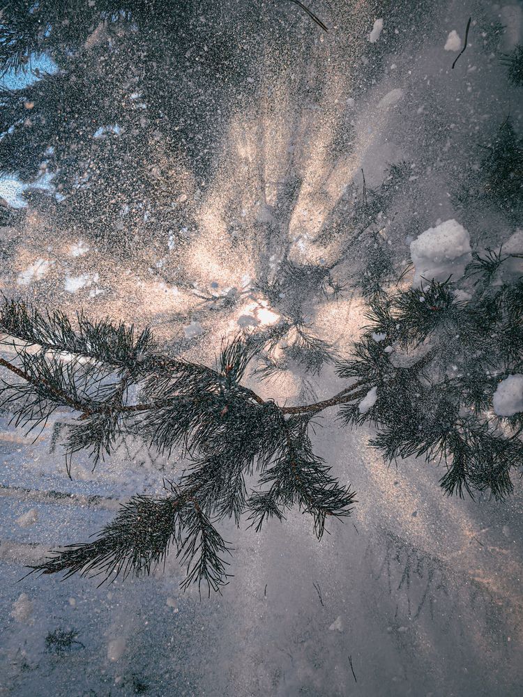 Photograph by Елена Макеева