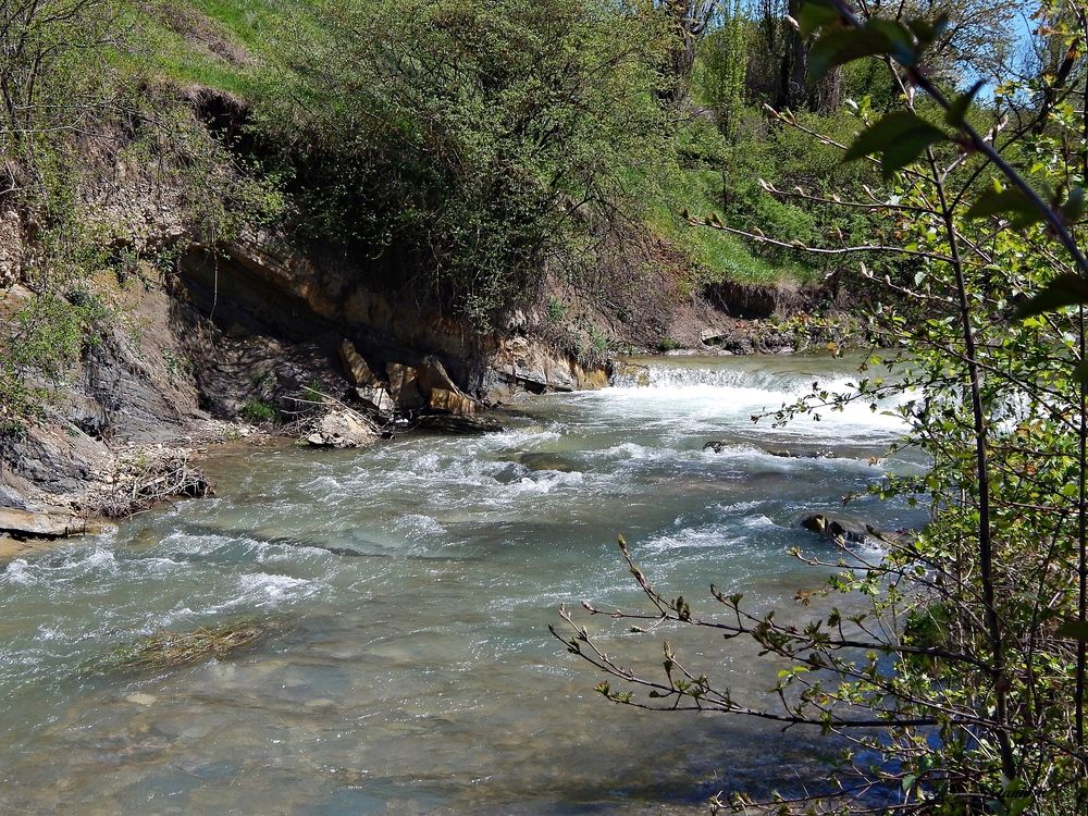 Photograph by Tanivsv