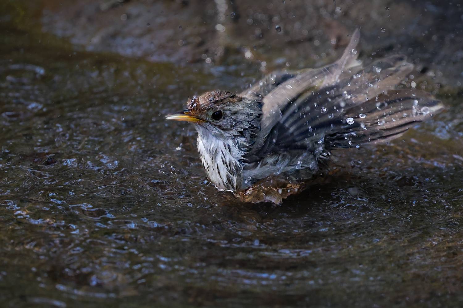 Фотография #13344702