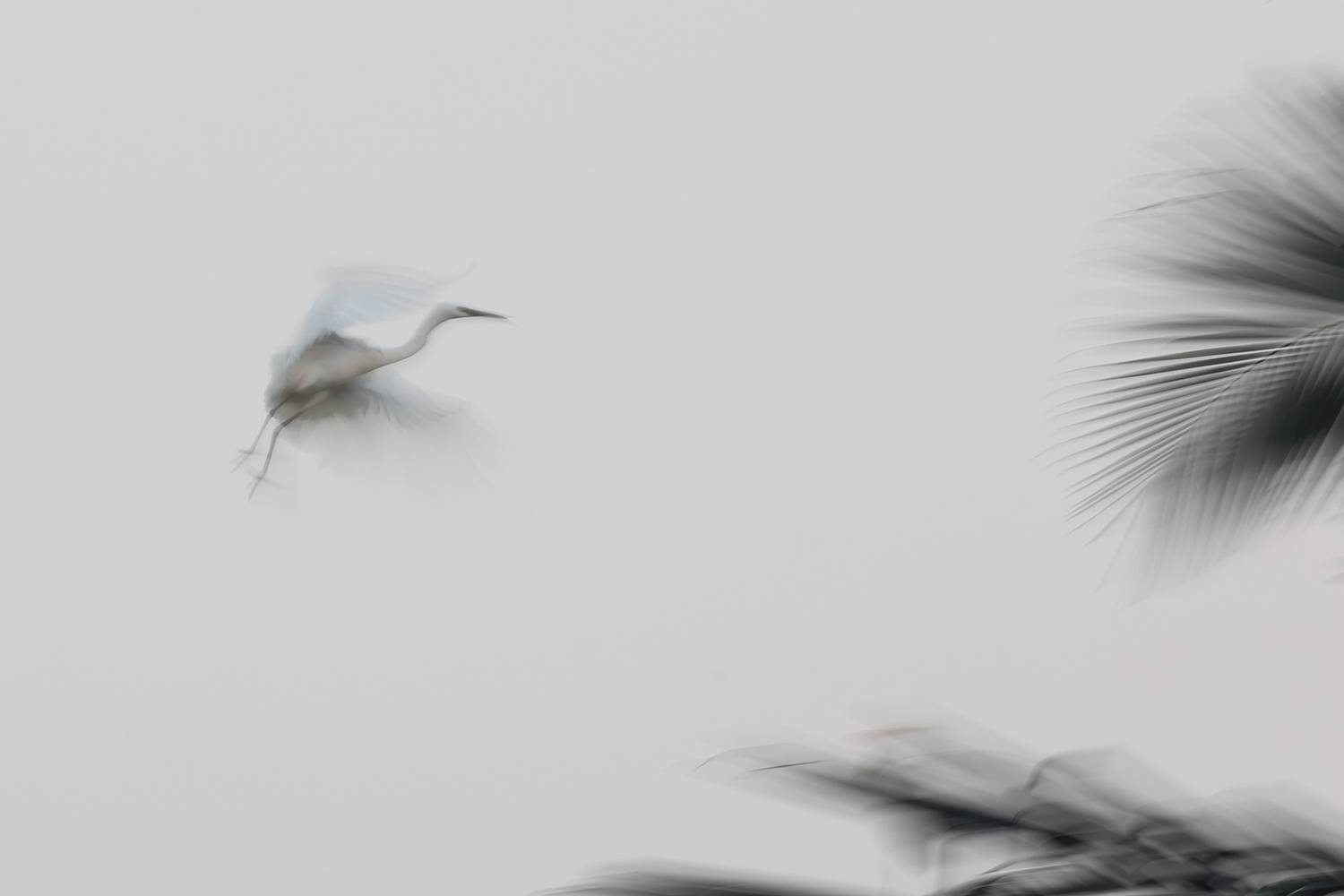 Фотография #13344705