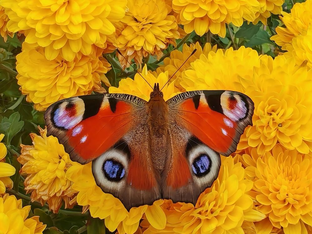 Photograph by Дмитрий Лазаренко