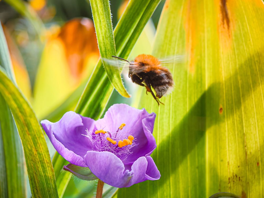 Photograph by Елена Макеева
