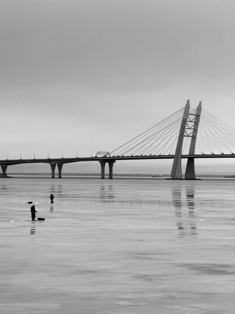 Photo #13344740