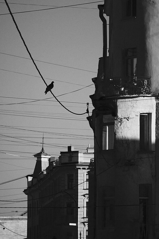 Photo #13344814