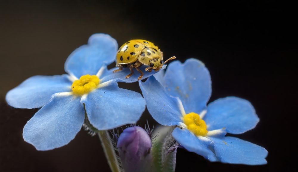 Photograph by Железнова Людмила