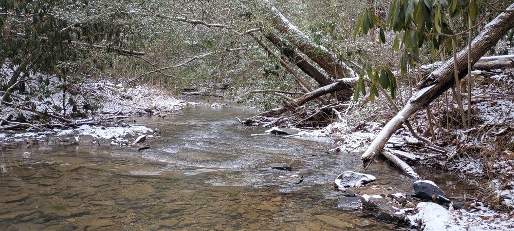 Фотография автора Silvija Janero