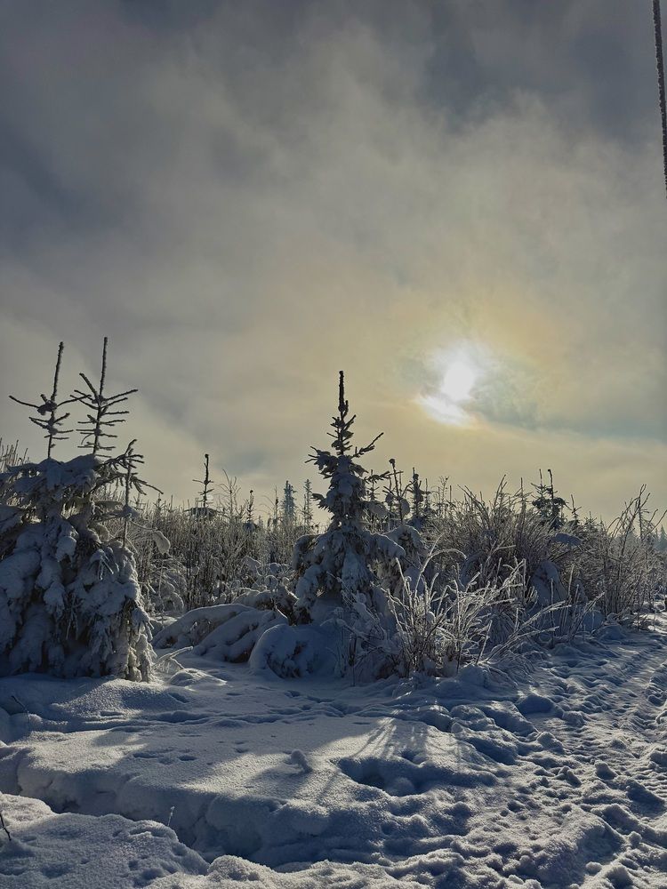 Photograph by Елена Волкова