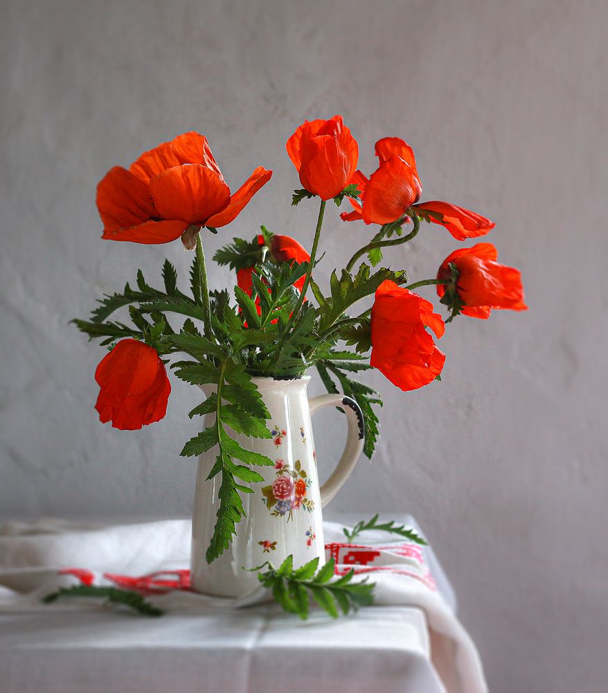 Фотография #13344872