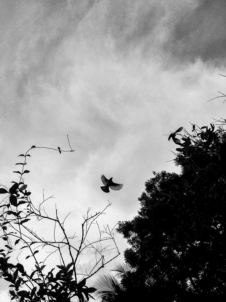 Фотография автора Laddu Sasindu Pramuditha De Silva