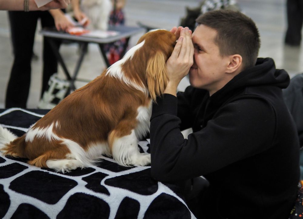 Photograph by Абдурахманов Магомед